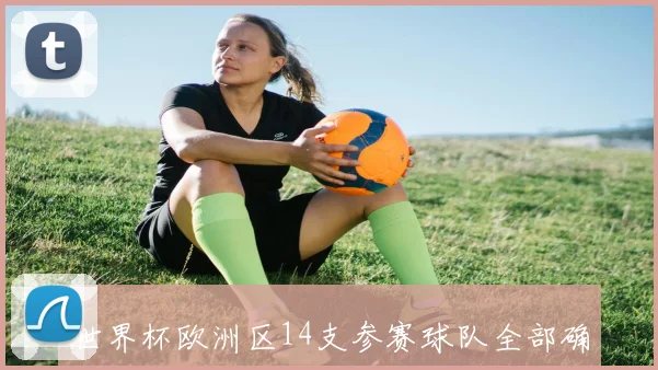 世界杯欧洲区14支参赛球队全部确定