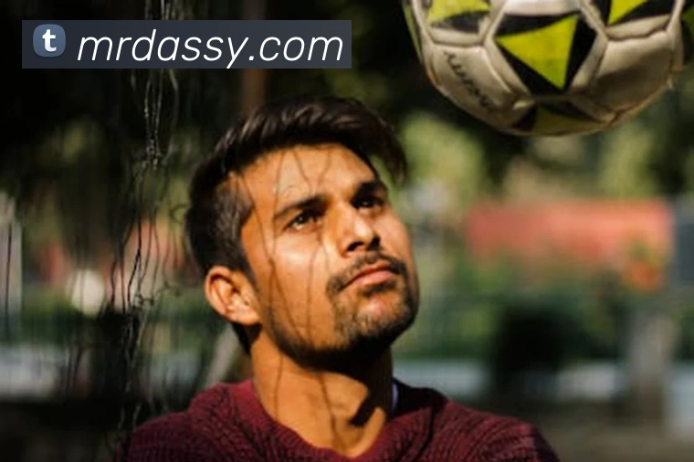 世界杯开户平台平台生态图